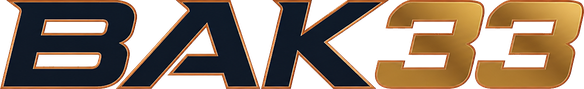 bak33 logo